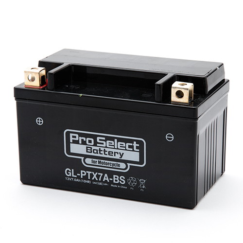 Pro Select Battery (プロセレクトバッテリー)